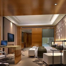 綿陽紅專效果圖 專業(yè)商務(wù)酒店室內(nèi)外裝飾裝修探索
